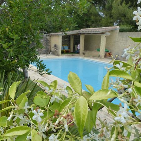 Vila La Quietude De St Antoine - Piscine Privee LʼIsle-sur-la-Sorgue Exteriér fotografie